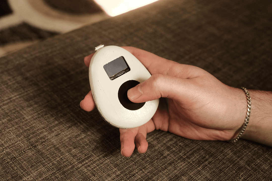 Holding Pebl device